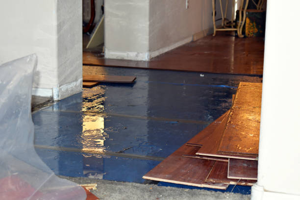 Professional Burst Pipe Cleanup technician working in Fombell, PA